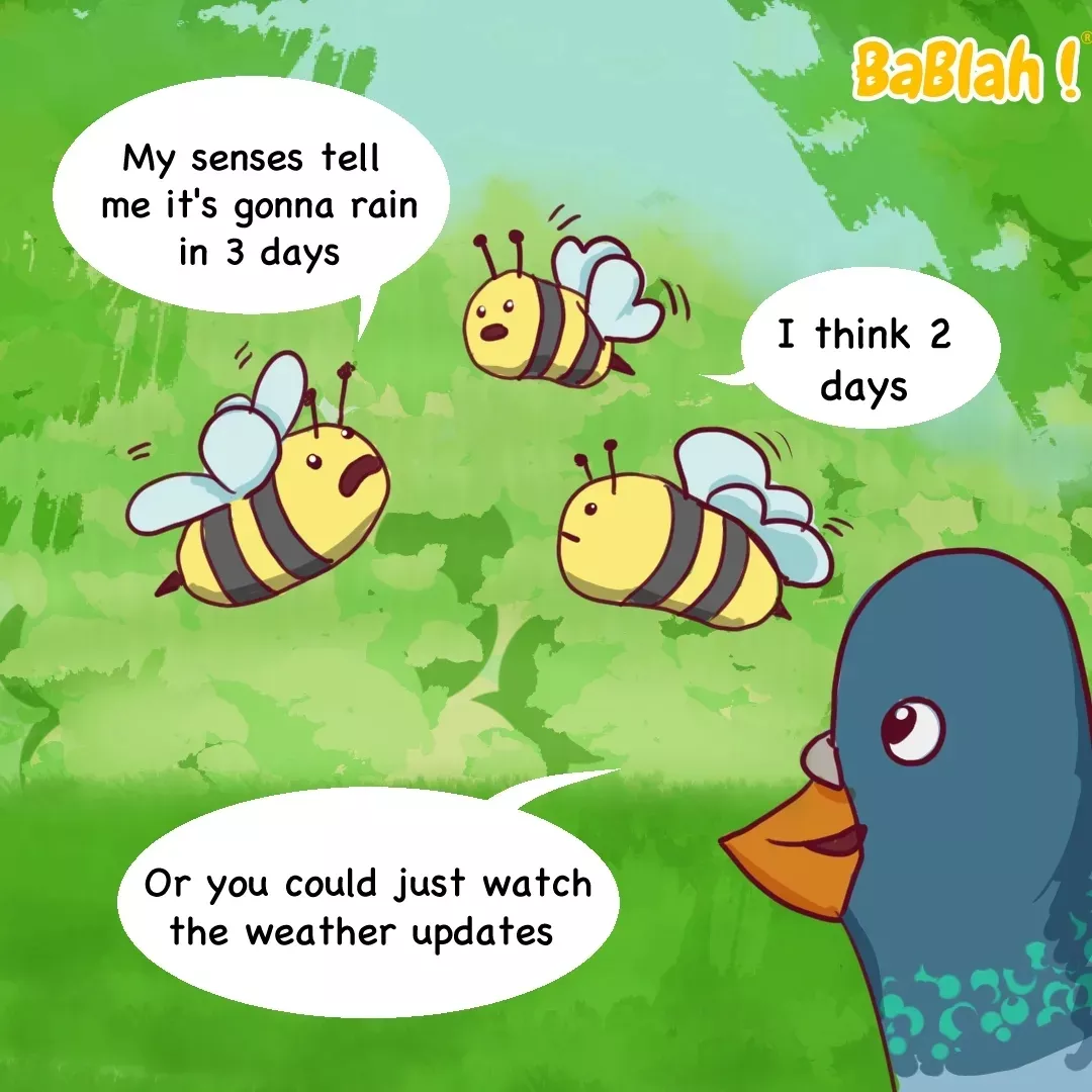 Beether Forecast!