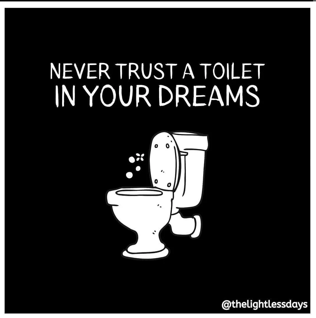 Never trust a toilet in your dreams