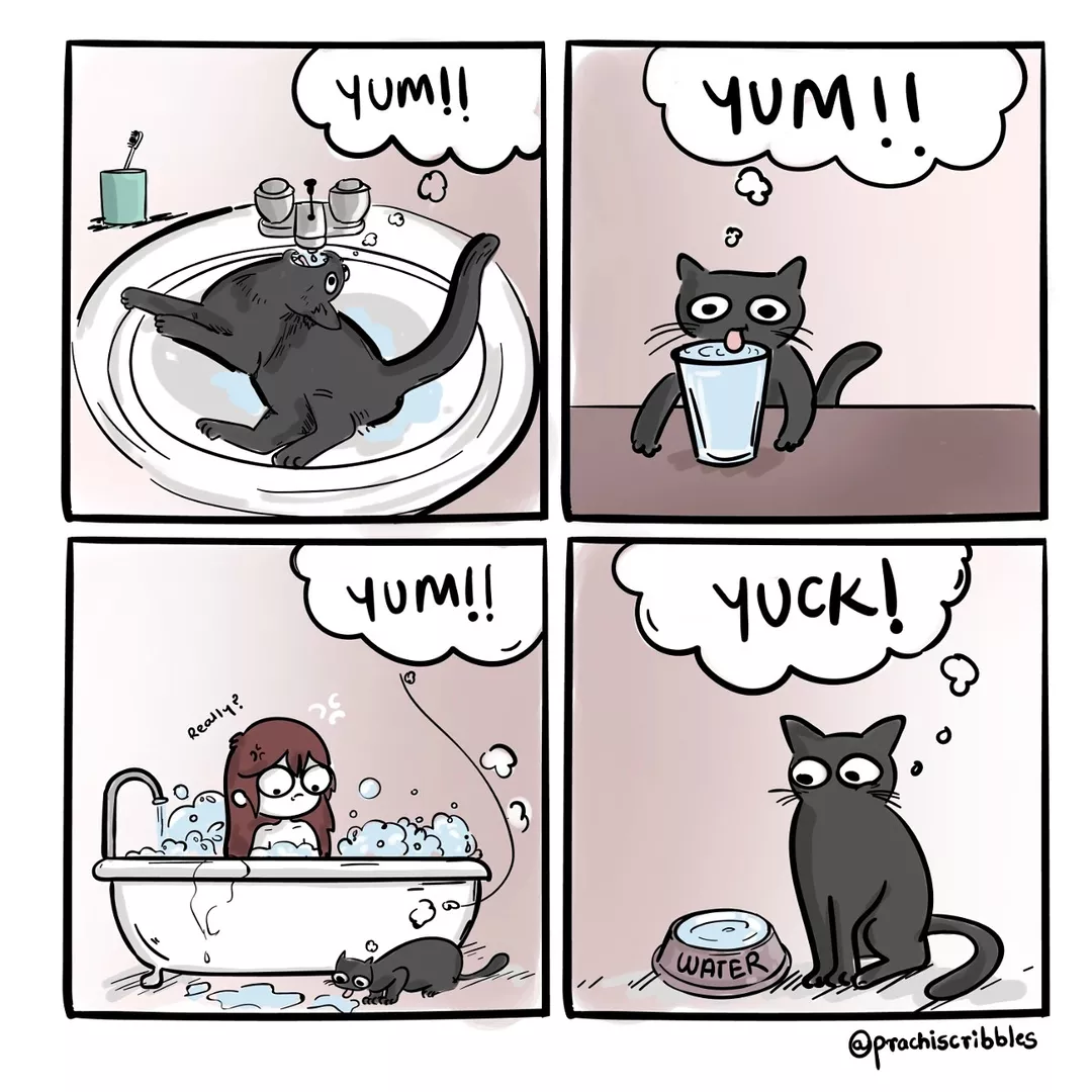 Cat logic 🐈