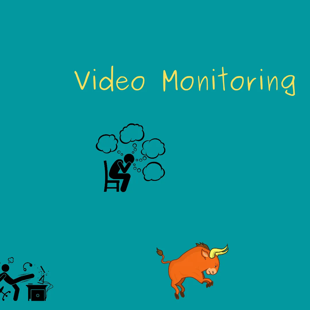 Office Catch: Video Monitoring