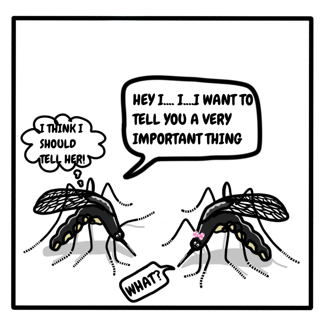 Mosquito Love 💔