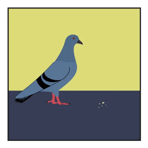 Smug-ass Pigeon