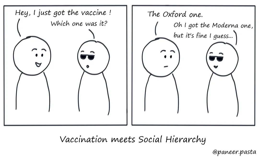 Vaccination meets Social Hierarchy