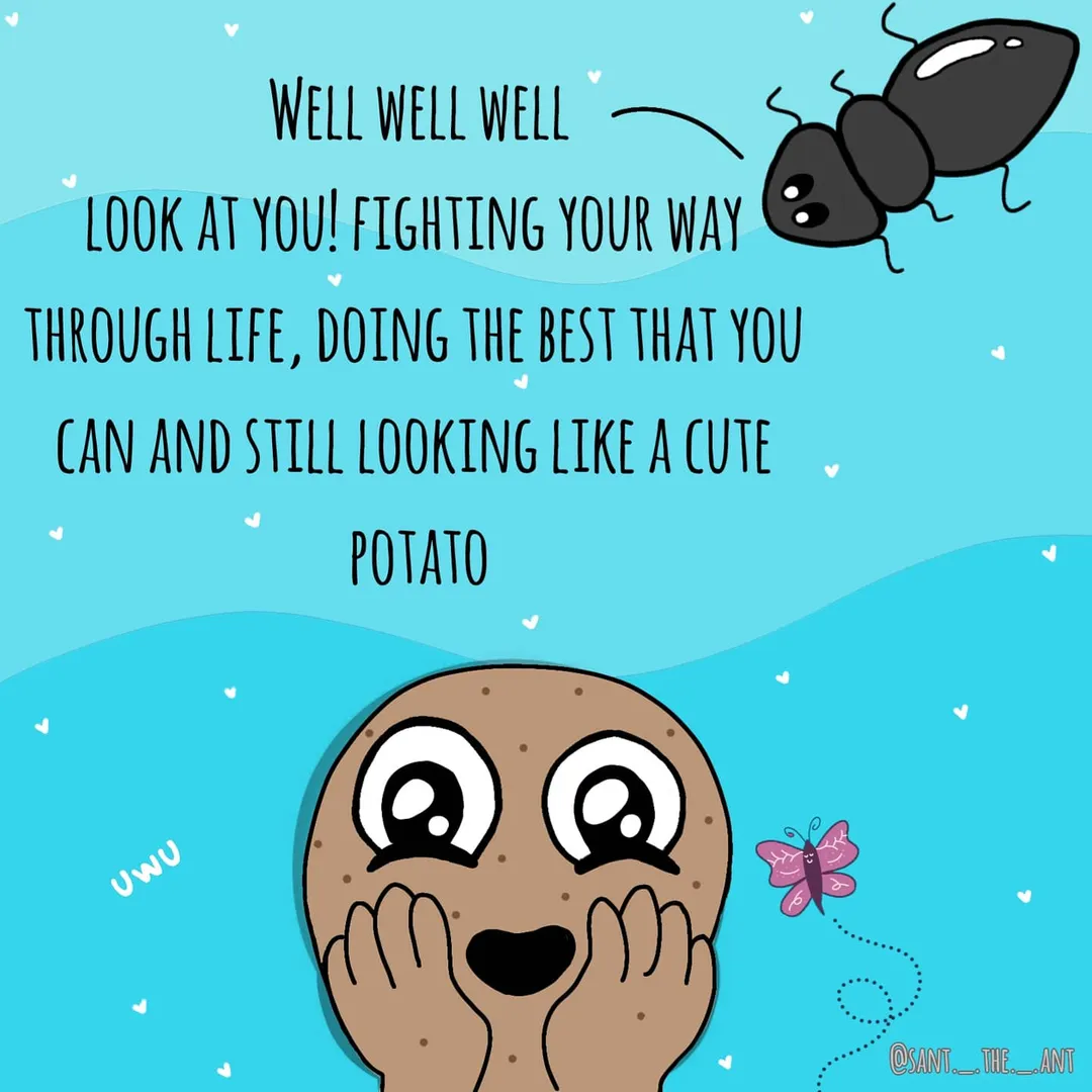 Every one is potato