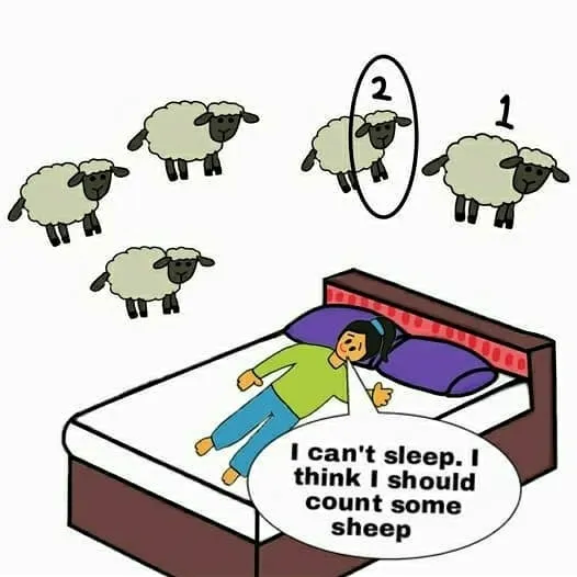 Counting sheep 🐑 🌿